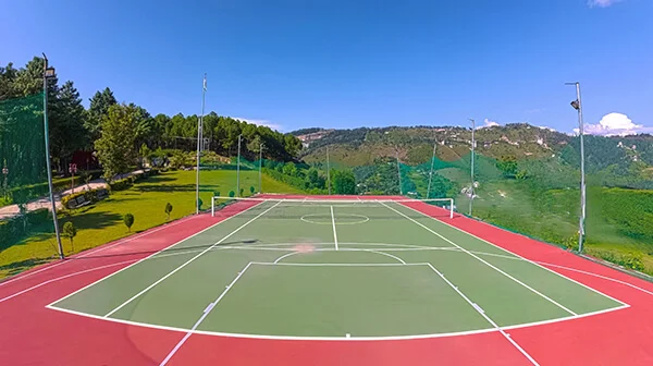 Lawn Tennis