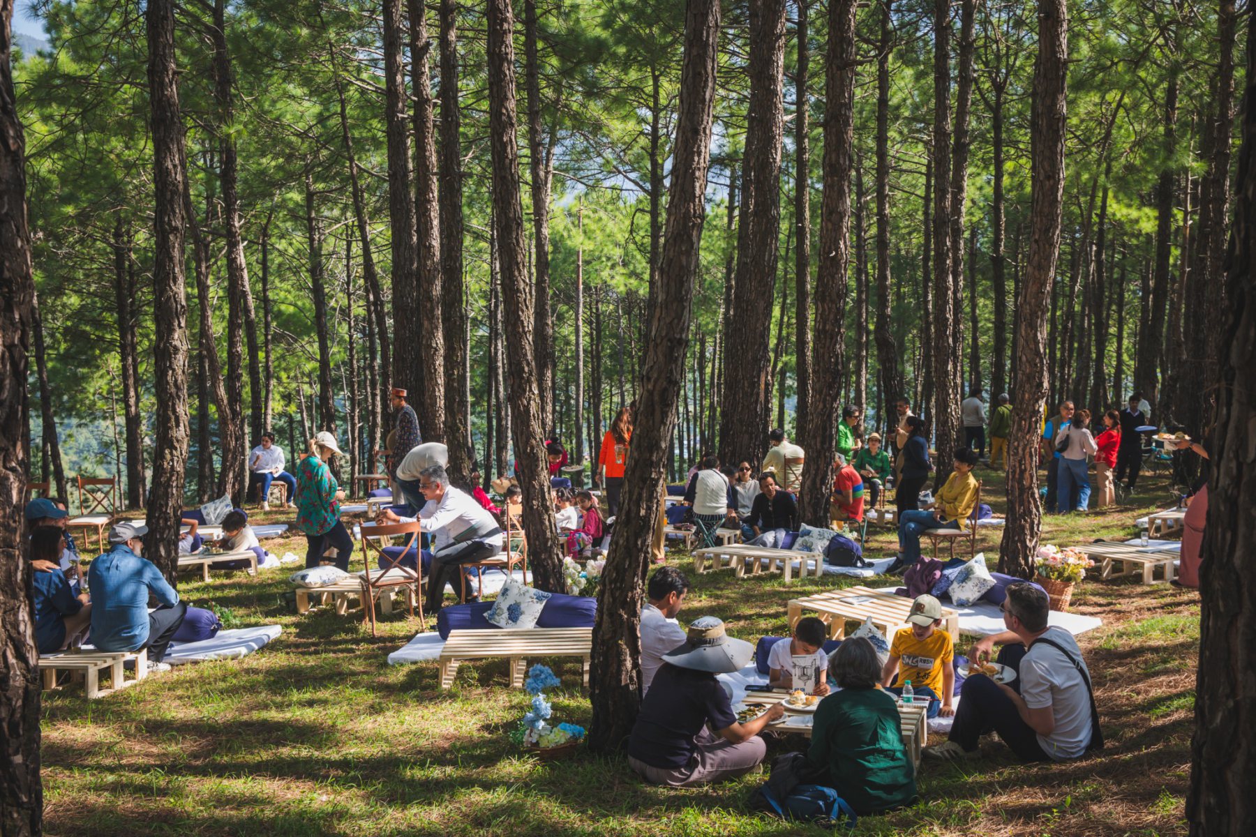 Guests enjoying the forest gathering among tall pine trees at Auramah Festival 2026 in Naldehra